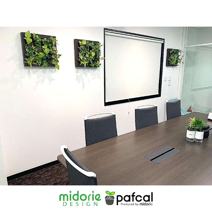 ʪδտʪ  祵 ꡼ GREET21W1