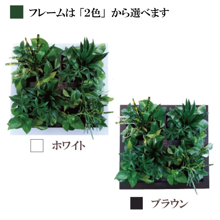 ʪδտʪ  祵 ꡼ GREET21W1