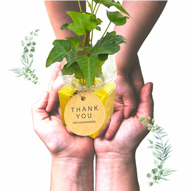 ɤ˳ݤտʪۥߥɥꣳå(Ϥޤ)  åȥǥ/ȥ/3/ߥɥꥨ/Midorie