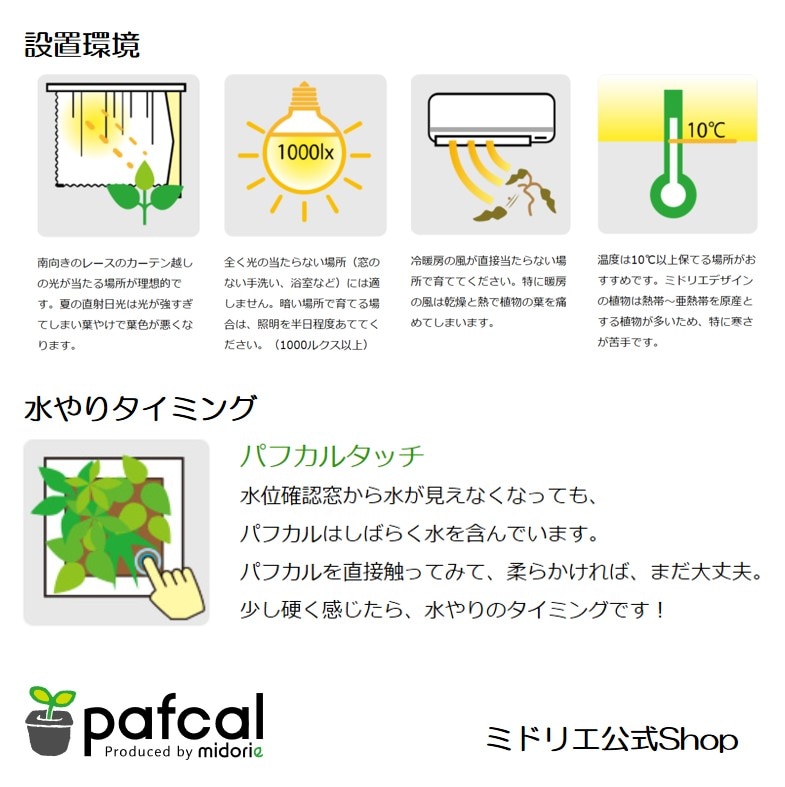 ġɥ饻ʥե쥰󥹥ɥ