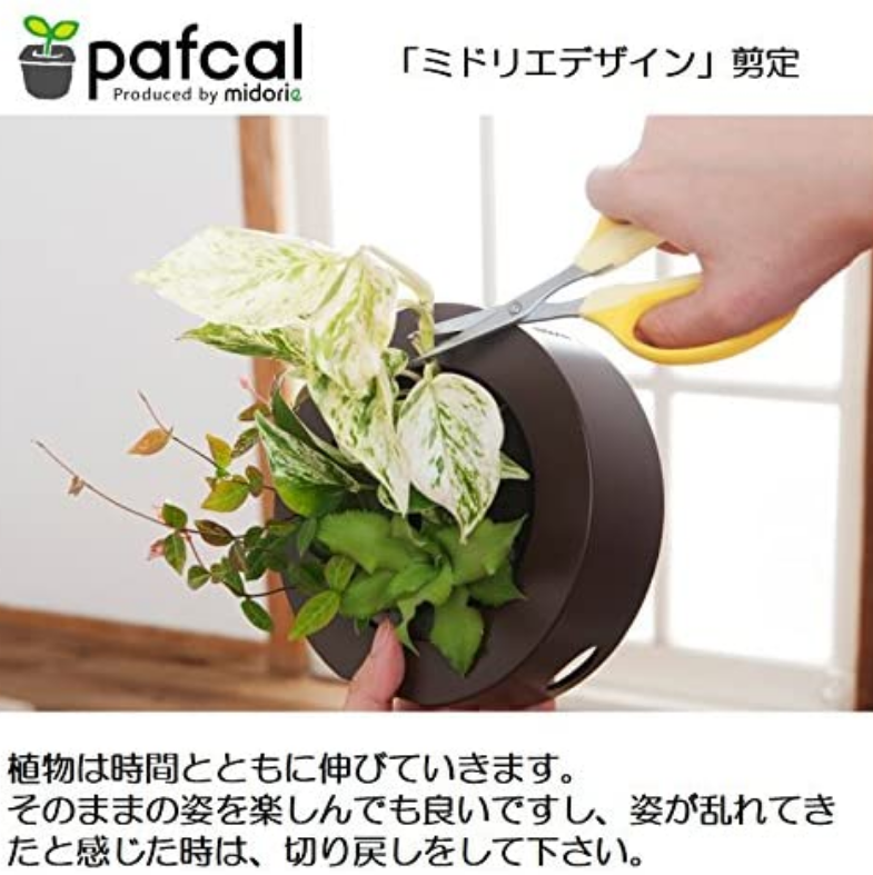 ļ Թ缼 祵 ꡼ GREET23W