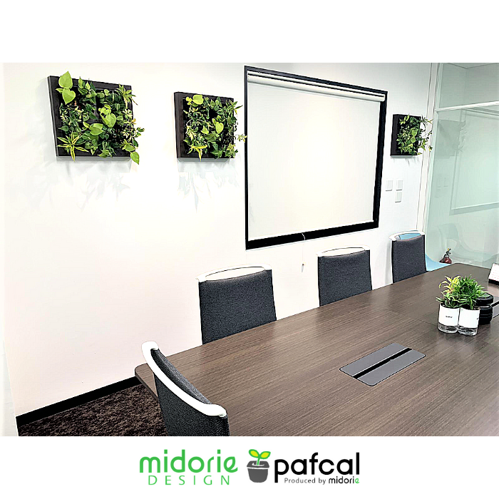 ļ Թ缼 祵 ꡼ GREET23W