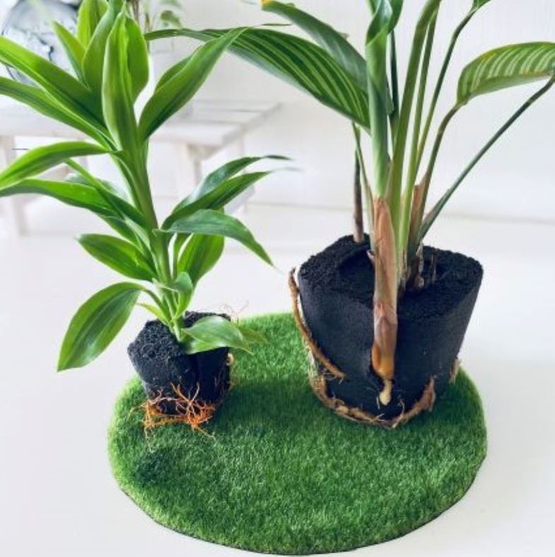 ʪĹڤߤѡѥեޥåȡʣġGREENFRAME饦ɥե졼ѡ