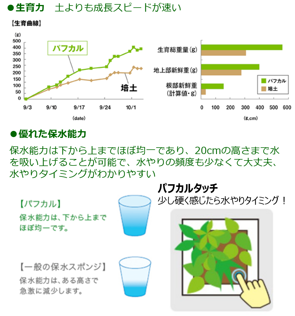 ڤޤåȡ ߥɥ åȥǥ  