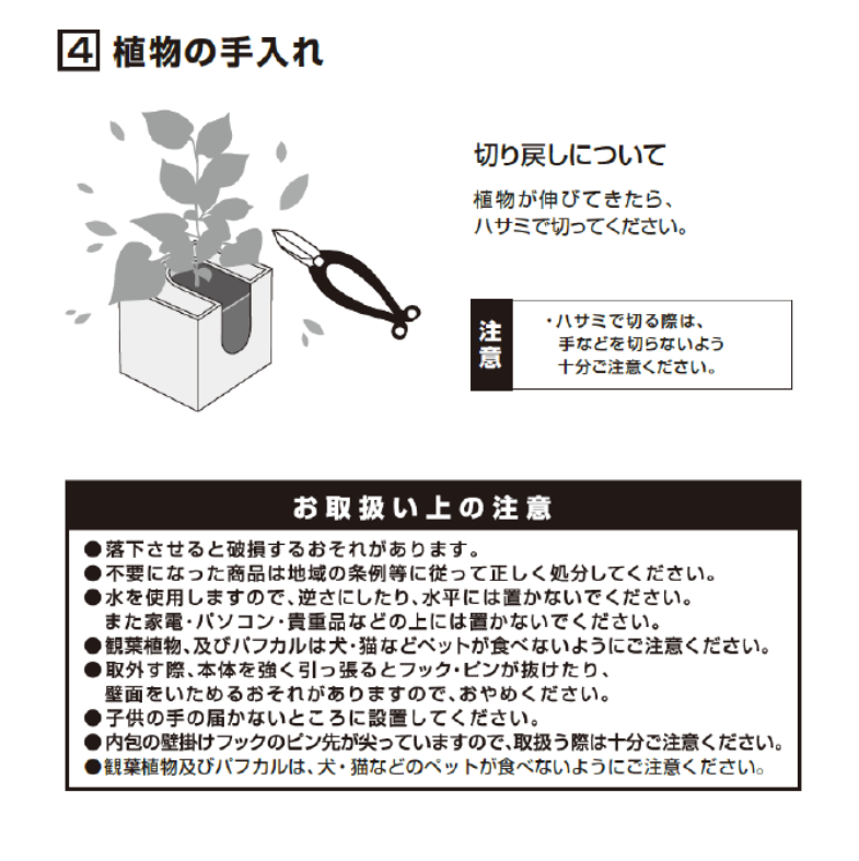 ڤޤåȡ ߥɥ åȥǥ  