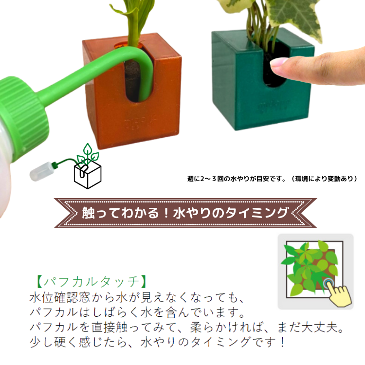 ڤޤåȡ ߥɥ åȥǥ  