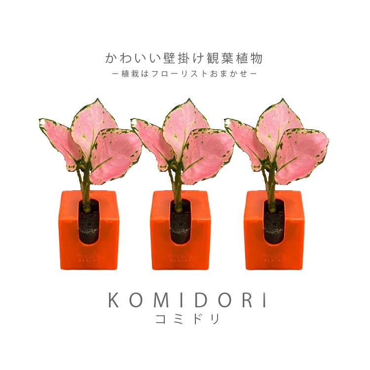 ڤޤåȡ ߥɥ åȥǥ  