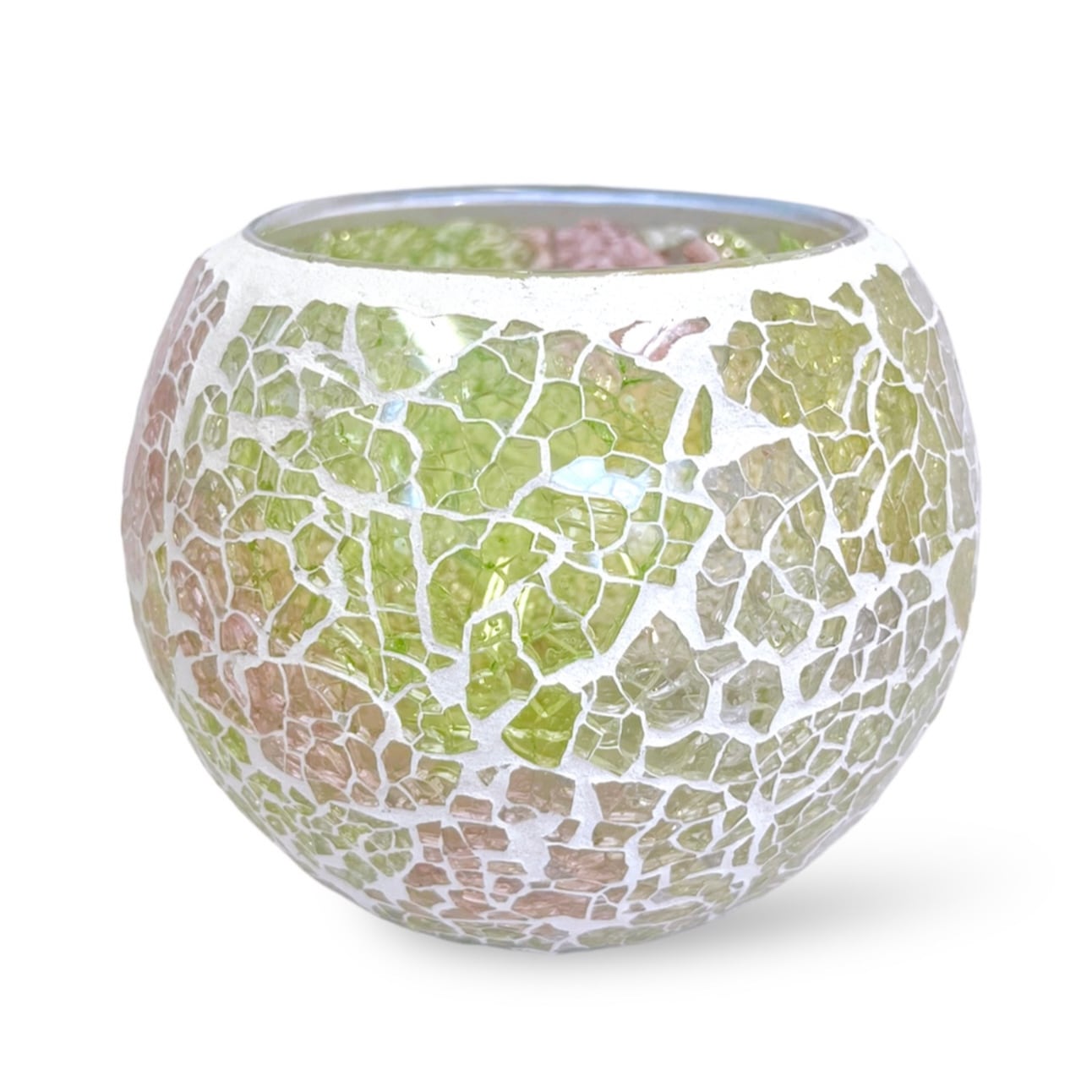 限定・アウトレット】丸いガラスポット（苗別売） - おしゃれな観葉