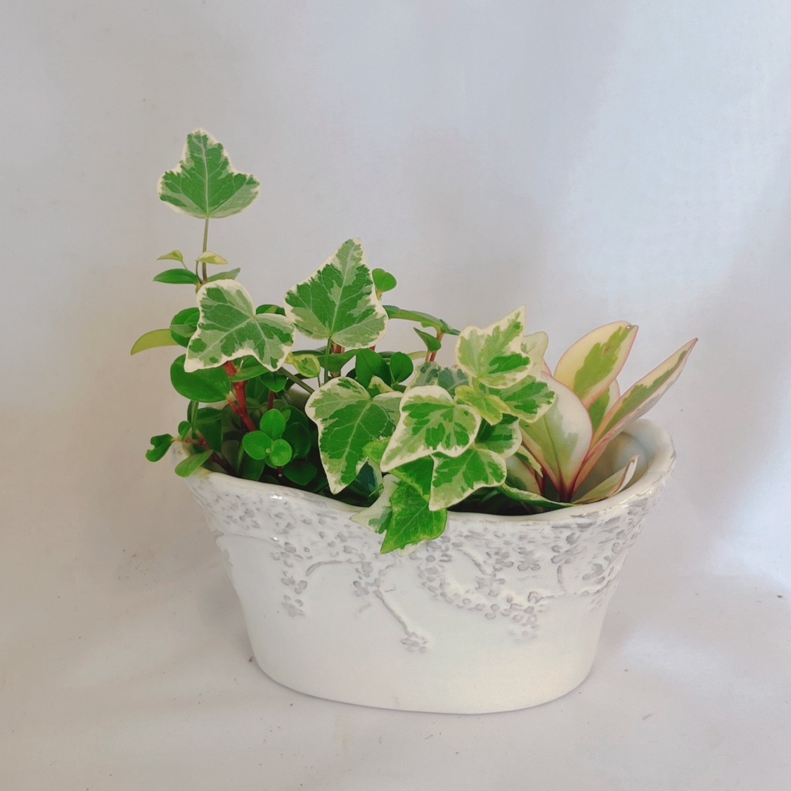 ڸꡦȥåȡƫΥݥåȡ