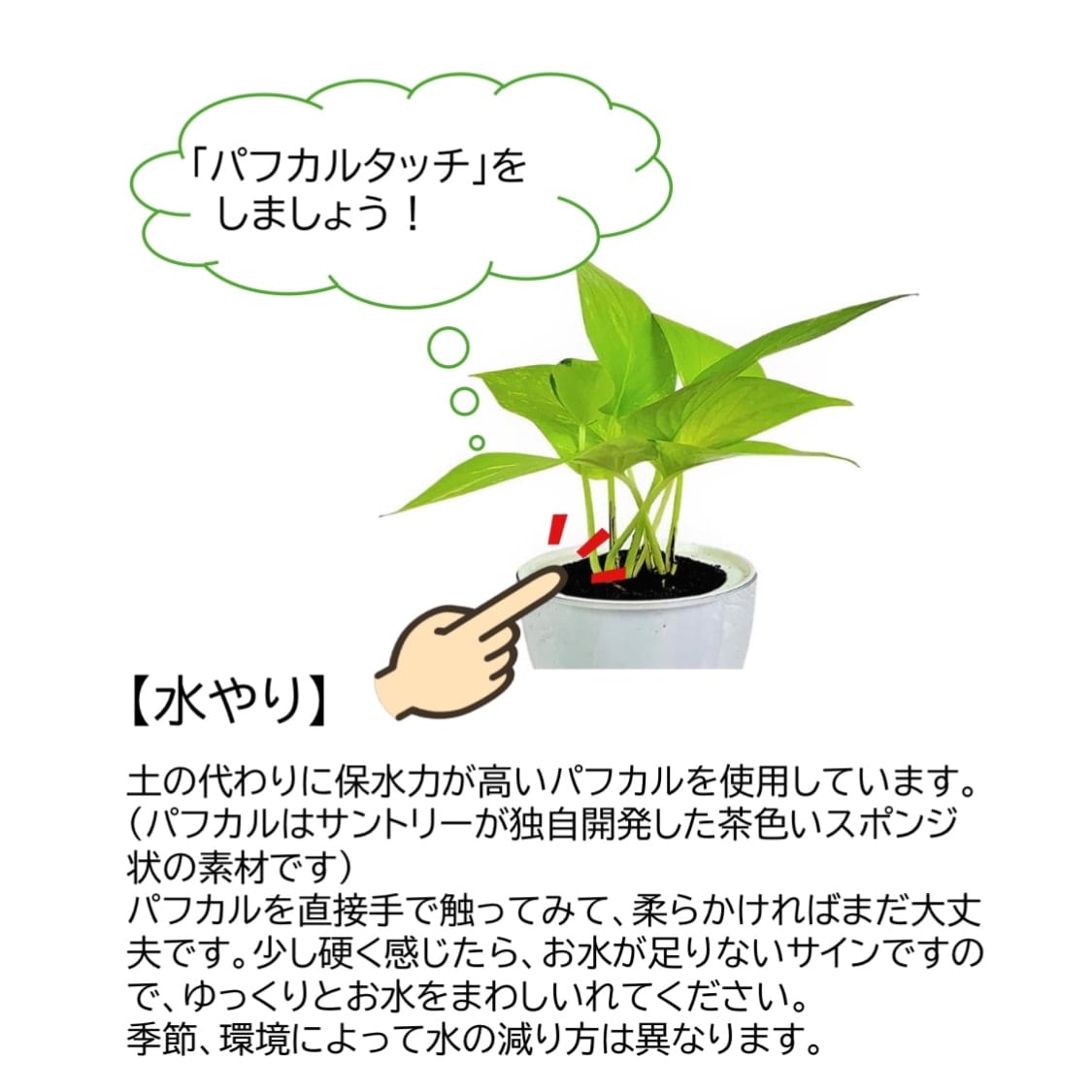 ڸꡦȥåȡƫΥݥåȡ