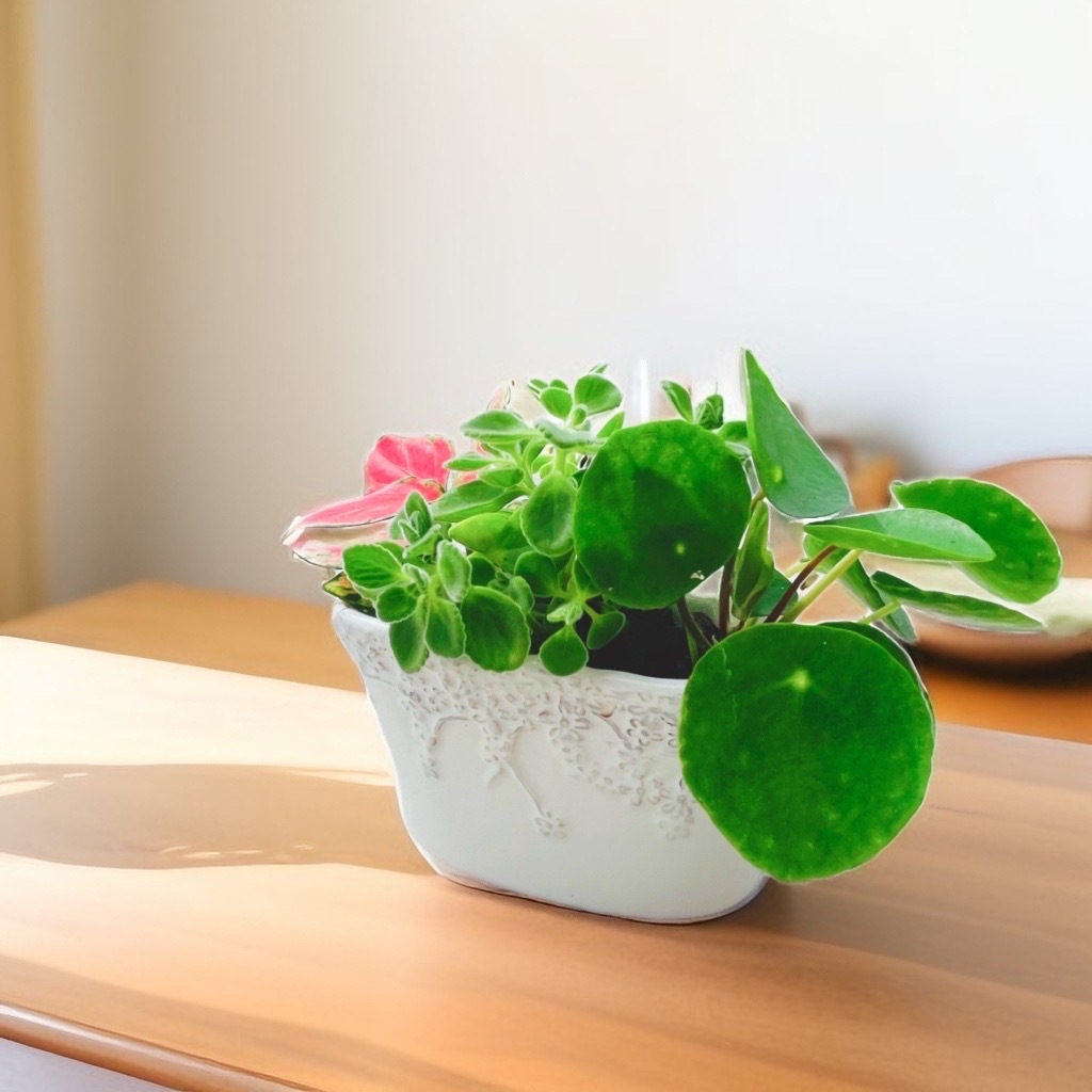 ڸꡦȥåȡƫΥݥåȡ