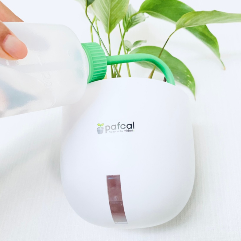 �����̵��POT��POT-E ñ��(�ġ��ѥե���ʤ�)