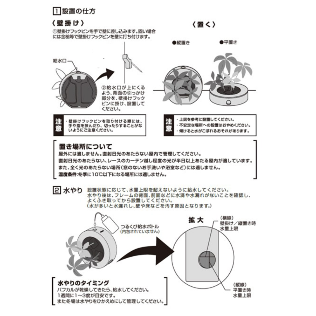 ɥ饻 ǥ GREEN FRAME 21H