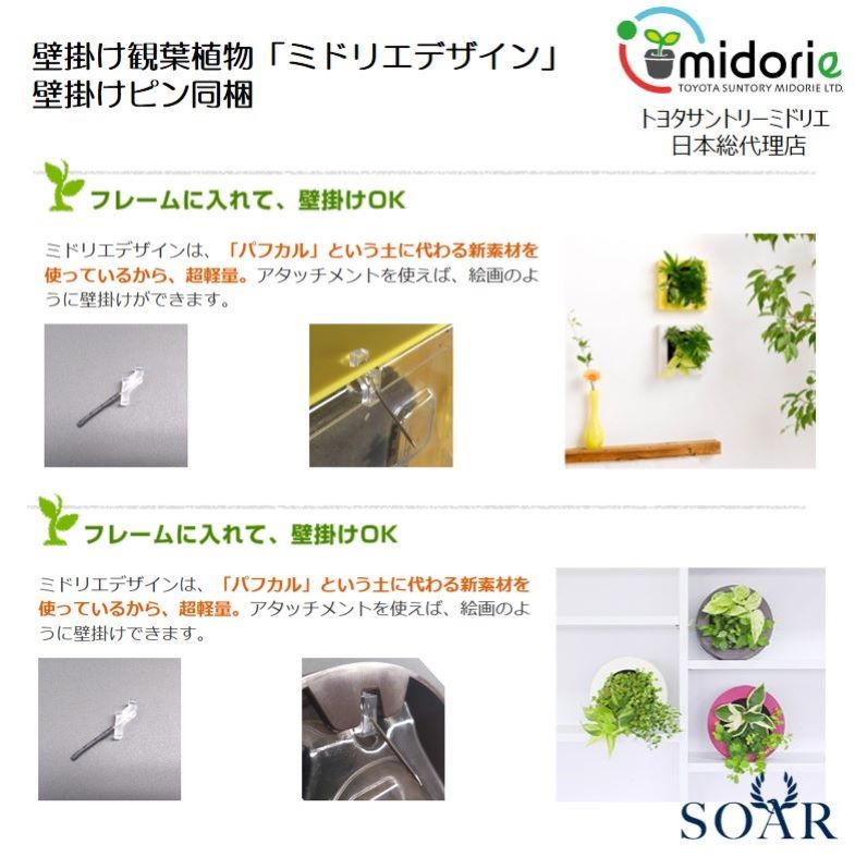 ɥ饻 ǥ GREEN FRAME 21Hʥߥ륯