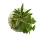 ɥ饻 ǥ GREEN FRAME 21Hʥߥ륯