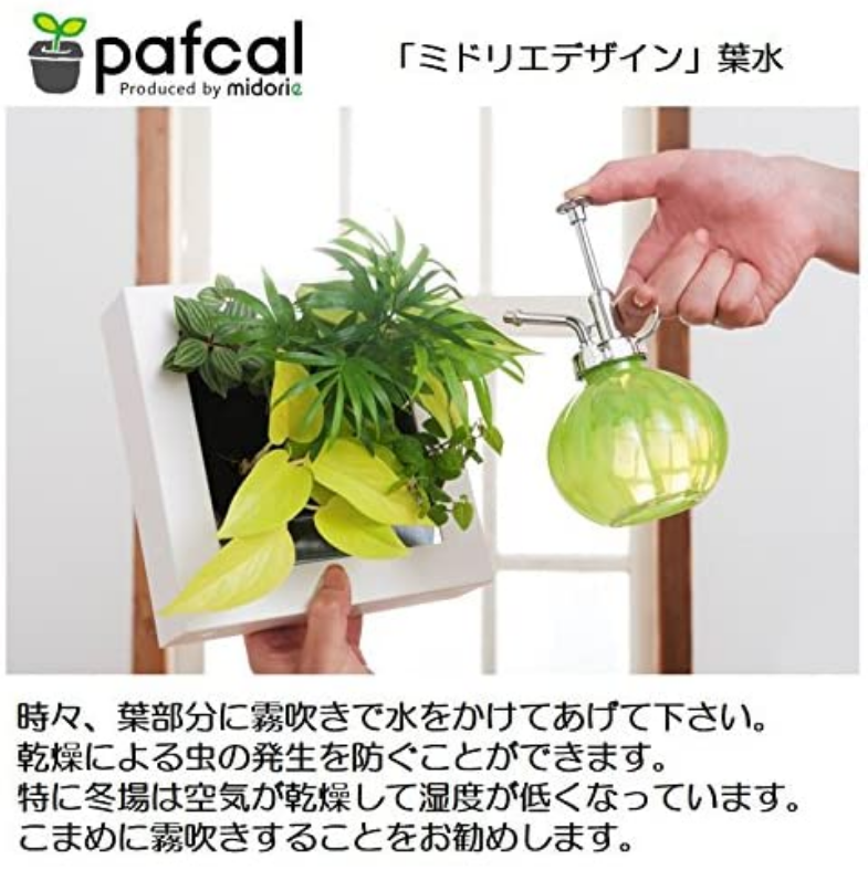 ե ǥ GREEN FRAME 21Jʥߥ륯
