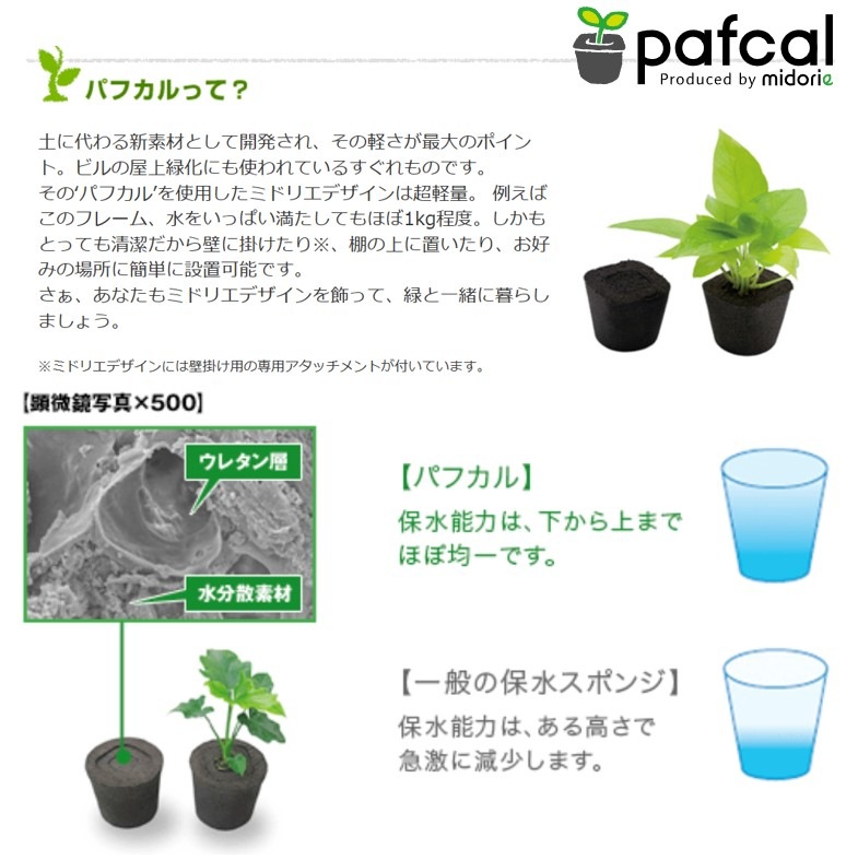 ե ǥ GREEN FRAME 21Jʥߥ륯