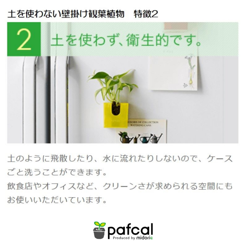 ե ǥ GREEN FRAME 21Jʥߥ륯