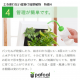 ե ǥ GREEN FRAME 21Jʥߥ륯