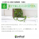 ե ǥ GREEN FRAME 21Jʥߥ륯