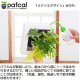 ե ǥ GREEN FRAME 21Jʥߥ륯