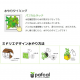 ե ǥ GREEN FRAME 21Jʥߥ륯