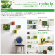 ե ǥ GREEN FRAME 21Jʥߥ륯