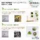 ե ǥ GREEN FRAME 21Jʥߥ륯