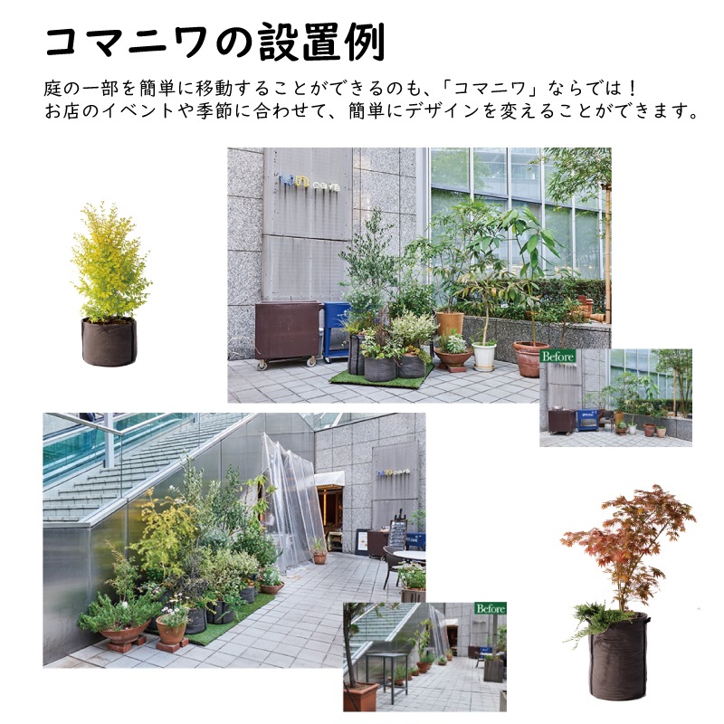 ޥ˥  ǥ󤵤줿ư  S-2 Nevisʥͥӥ