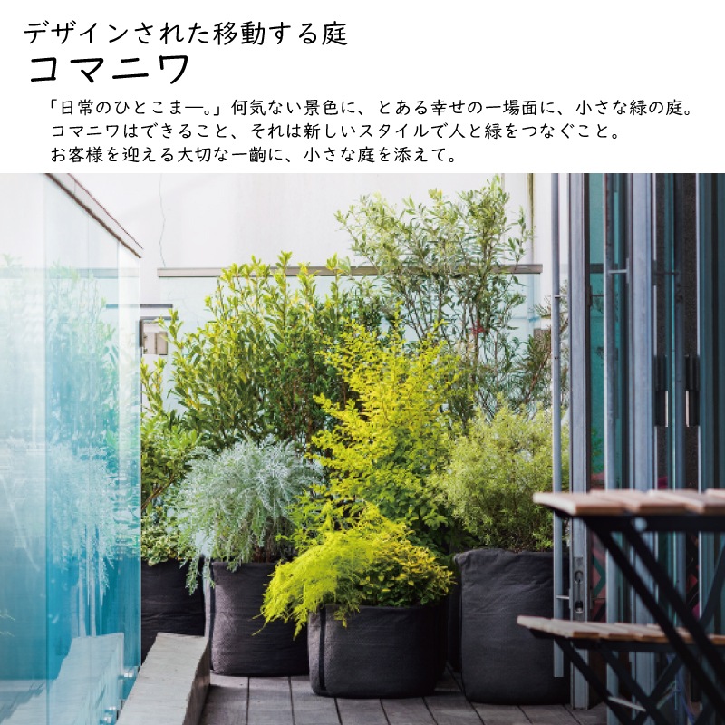 ޥ˥  ǥ󤵤줿ư  S-2 Nevisʥͥӥ