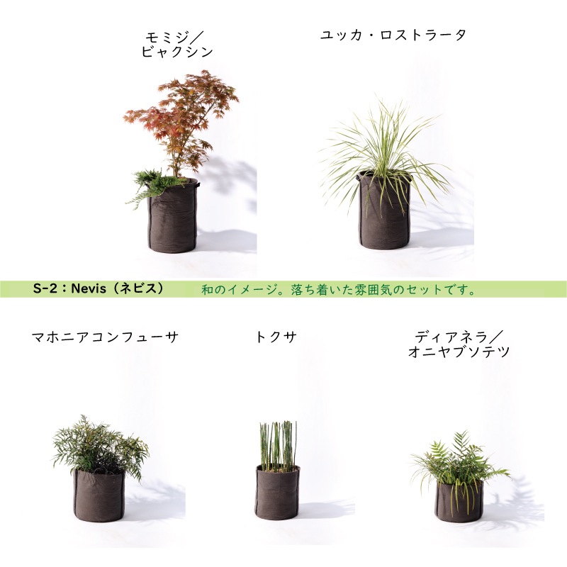 ޥ˥  ǥ󤵤줿ư  S-2 Nevisʥͥӥ