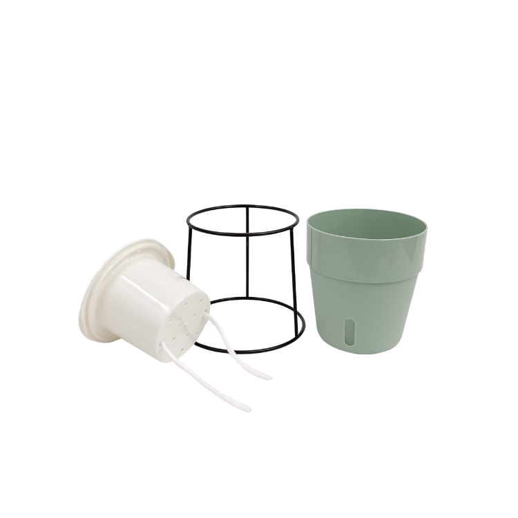 ̵POTPOT-Y ٤륫顼 ñ3(ѥեդ)[٤POT顼]