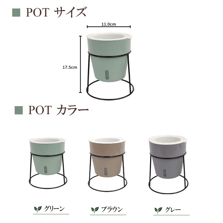 ̵POTPOT-Y ٤륫顼 ñ3(ѥեդ)[٤POT顼]