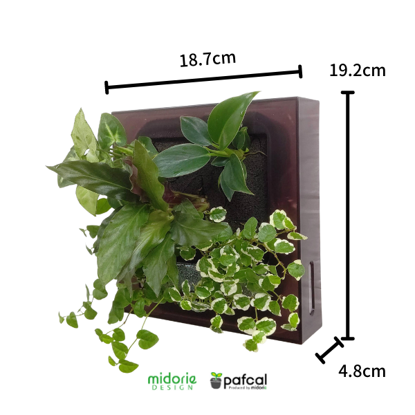 ʿϤޤFRAMEڥۥ磻ȡ2ĥå