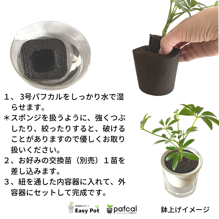 ̵POTPOT-K ñ(3ѥեդ)[٤POT顼]