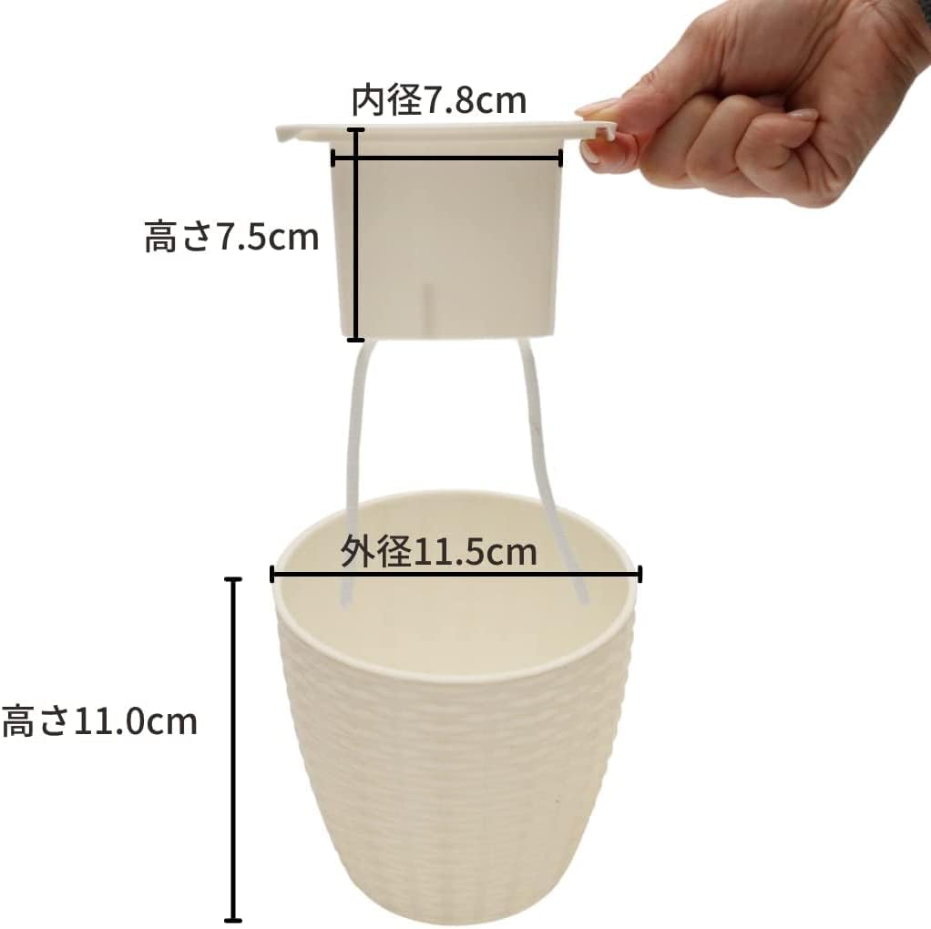 ���ò��ۥ������������å� POT-P�ʥ����ܥ꡼��+�ѥե�����åס�40g��