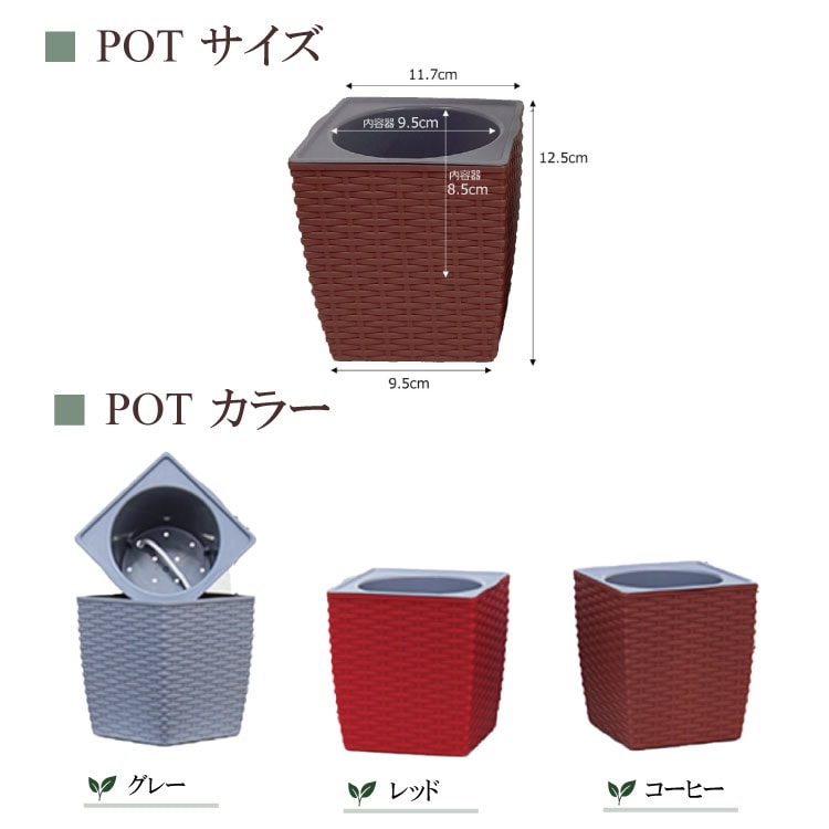 ���ò��ۥ������������å� POT-R�ʥ����ҡ���+�ѥե�����åס�40g��2��