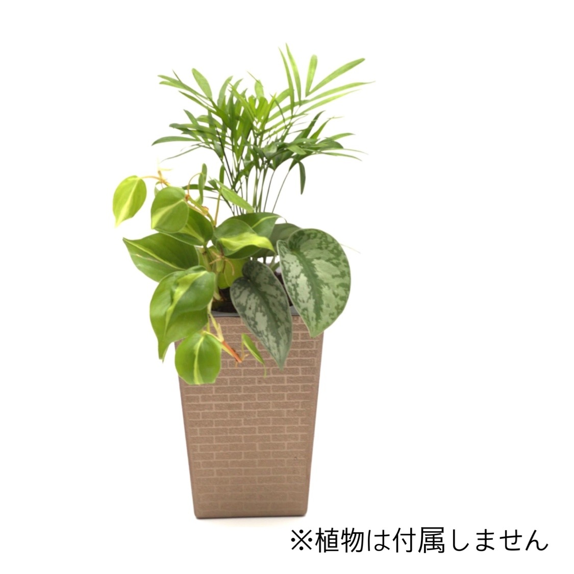 ���ò��ۥ������������å� POT-U�ʥ֥��󥺡�+�ѥե�����åס�40g��2��