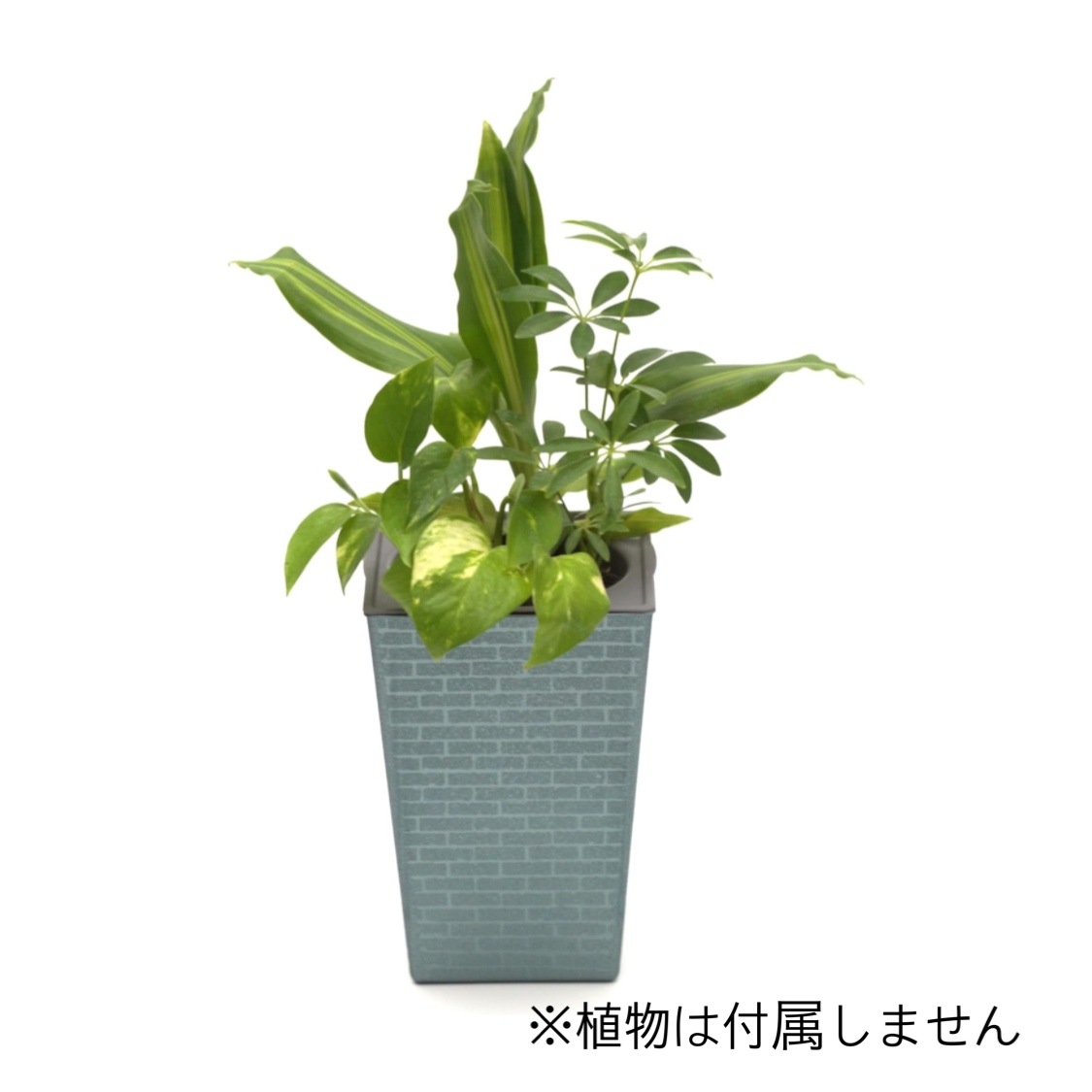 ���ò��ۥ������������å� POT-U�ʥ���С���+ �ѥե�����å�40g��2