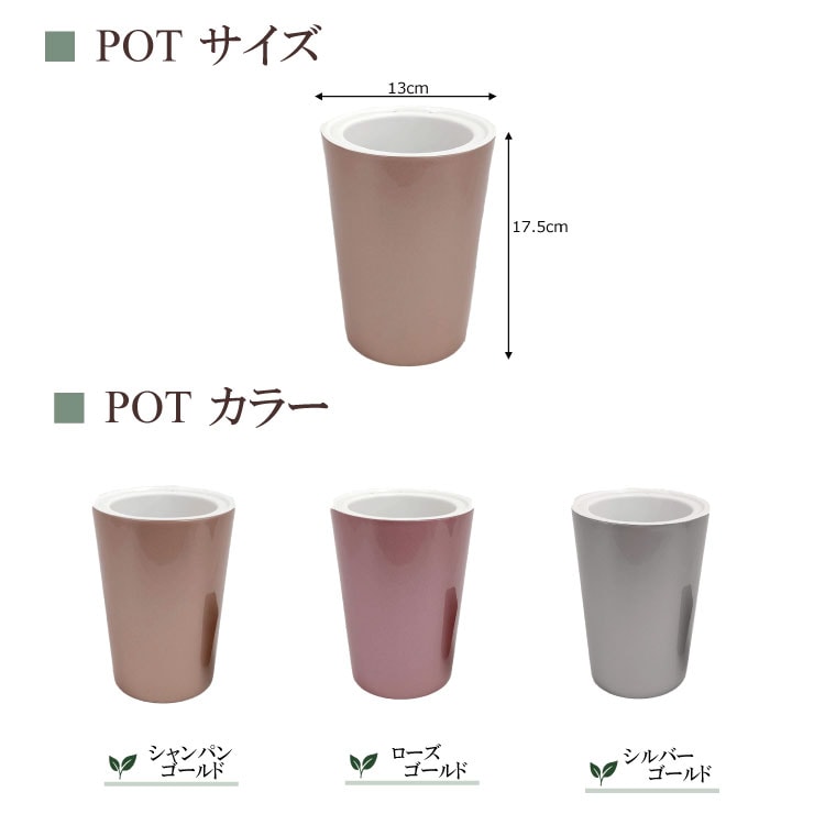 ���ò��ۥ������������å� POT-W�ʥ���С���+ �ѥե�����å�40g��2