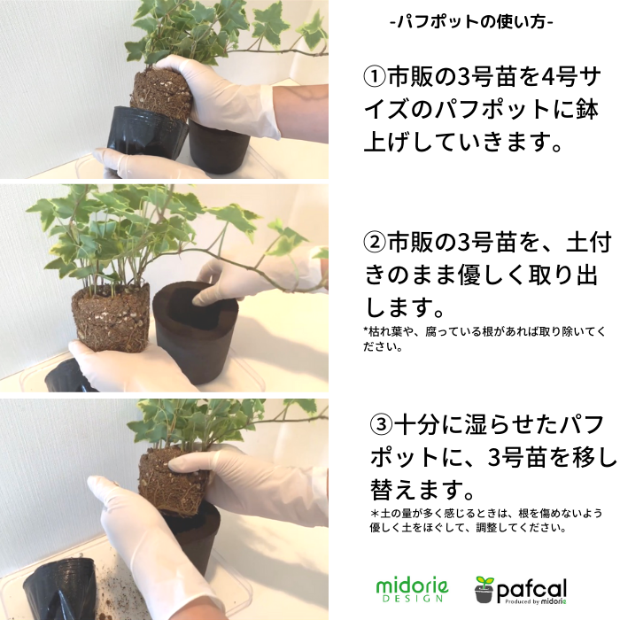 当店限定 新感覚のポット 大きく育てるシリーズ 観葉植物 専用 パフポット 5個セットミドリエ 商品一覧観葉植物 ミドリエオンラインストア