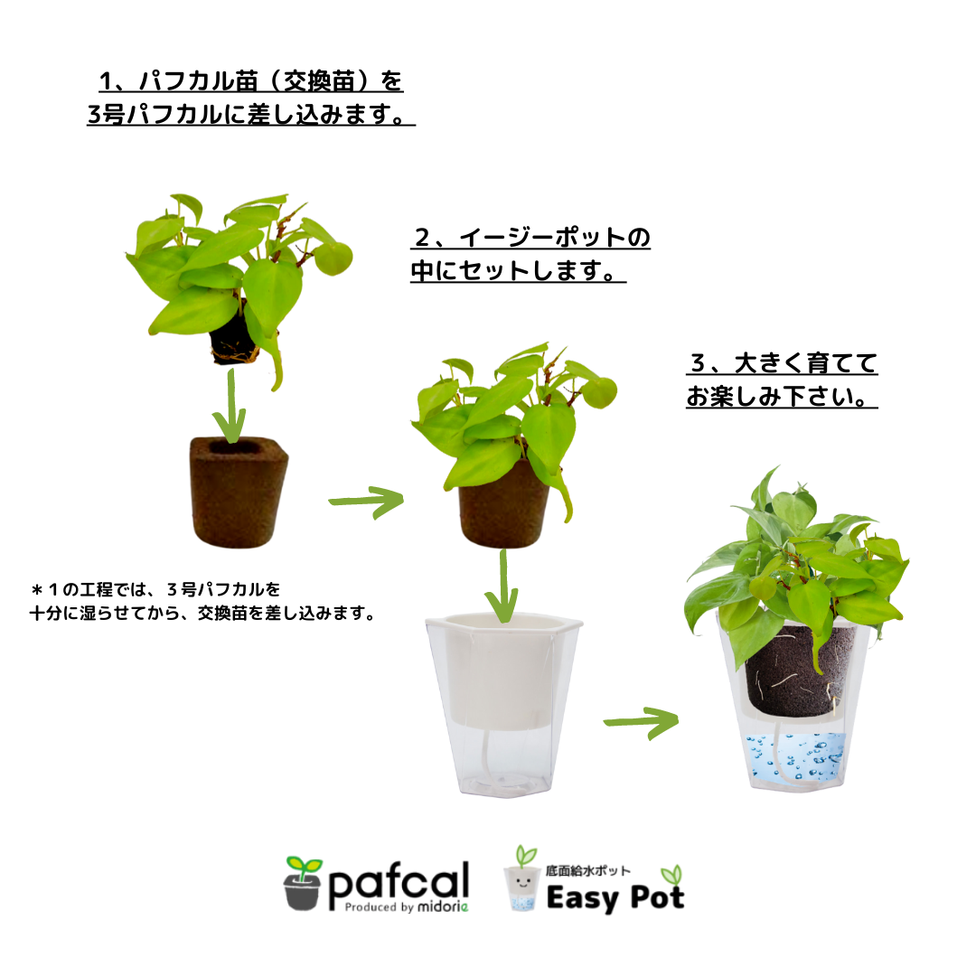 ̵POTPOT-V ñ(ѥեդ)