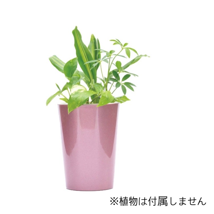 ���ò��ۥ������������å� POT-W�ʥ����ѥ��+ �ѥե�����å�40g��2