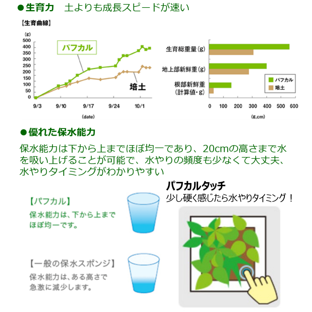 ���ò��ۥ������������å� POT-B�ʥ֥롼��+ �ѥե�����å�40g