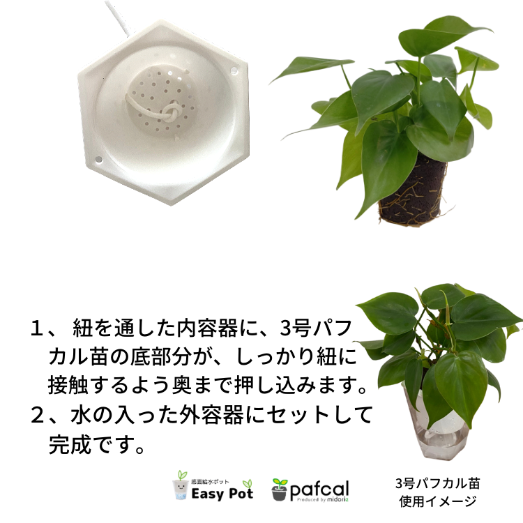 ���������ݥå� ����ƥ� ��ե��Х�� ���̵��ݥå� M���꡼�� 02