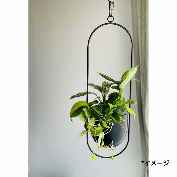 Ͳۥϥ󥮥 A꡼ ۥ磻ȡ3ĤǤ