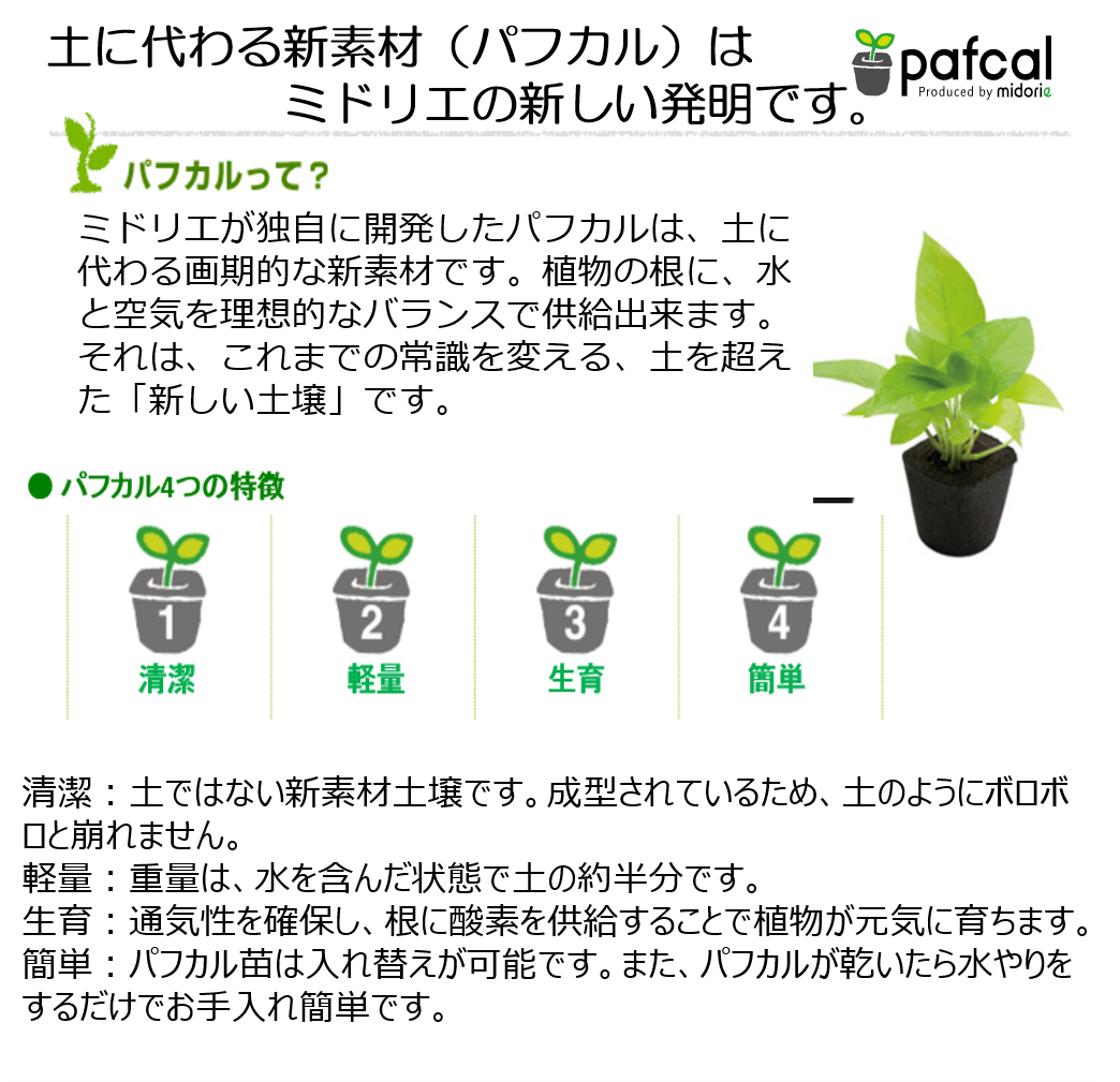 Ͳۥϥ󥮥 A꡼ ۥ磻ȡ3ĤǤ