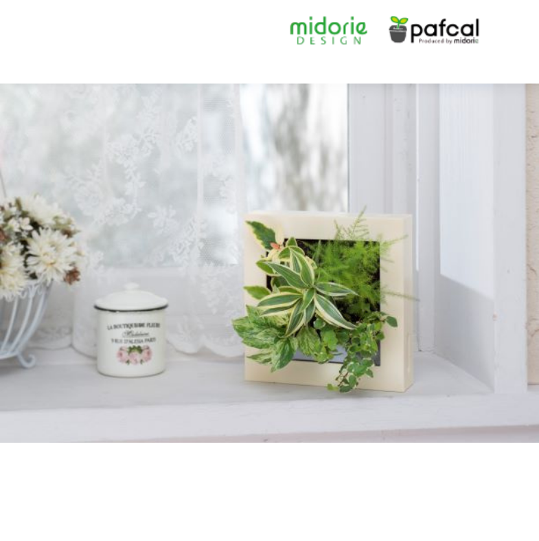 ѤθĤȹ碌ƺ ޥߥɥꥨ ե졼 (ܥ꡼)