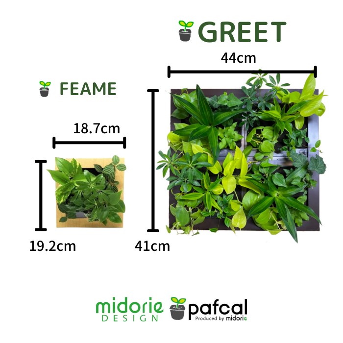 Ƥξ 祵꡼ȡGREET20B1