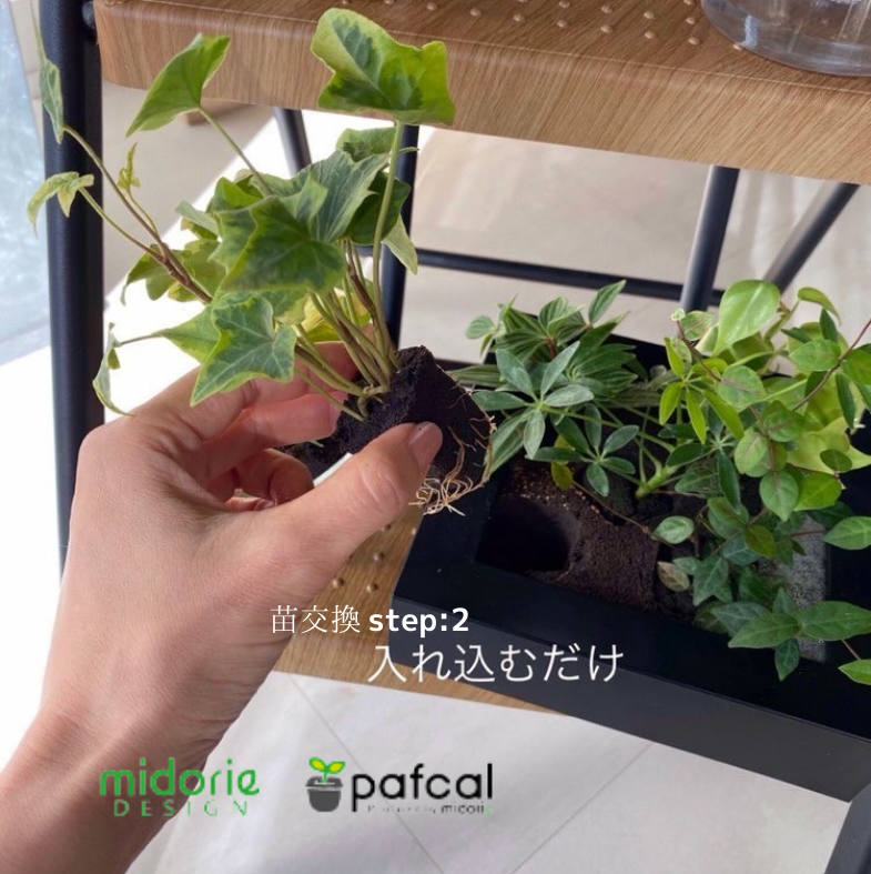 �ڥޥ��ߥɥꥨ������Ĵ�� ���Ѥθ��Ĥȹ�碌�ƺ��